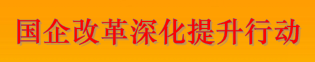 國企改革深化提升行動